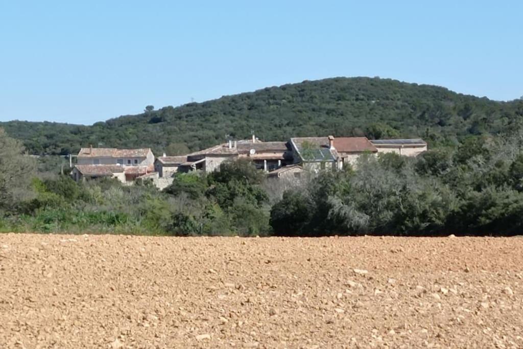 Gites Du Mas Champion - Piscine, Soleil, Nature & Calme - Groupes Saint-Just-et-Vacquières Esterno foto